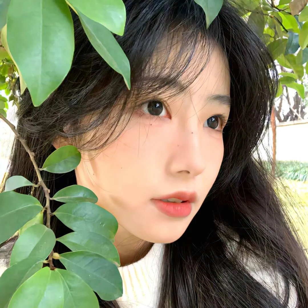 珠峰史诗